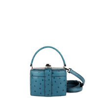 IVY 14 MINI - AUTRUCHE COLVERT