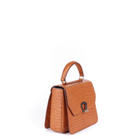 IRIS 18 - CROCODILE CAMEL