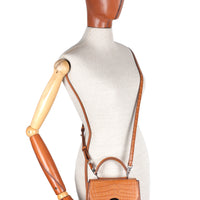 IRIS 18 - CROCODILE CAMEL