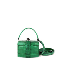 IVY 14 MINI - CROCODILE CACTUS