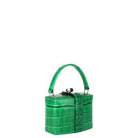 IVY 14 MINI - CROCODILE CACTUS