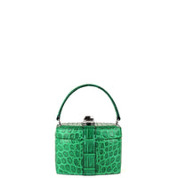 IVY 14 MINI - CROCODILE CACTUS