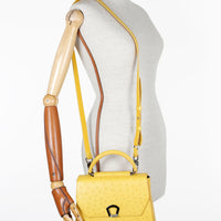 IRIS 23 - AUTRUCHE TOURNESOL