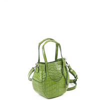 EJIAH 17 - CROCODILE AVOCAT