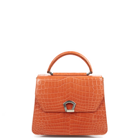 IRIS 23 - CROCODILE ORANGE BRULÉ