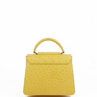 IRIS 23 - AUTRUCHE TOURNESOL