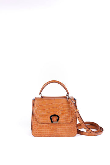 IRIS 18 - CROCODILE CAMEL
