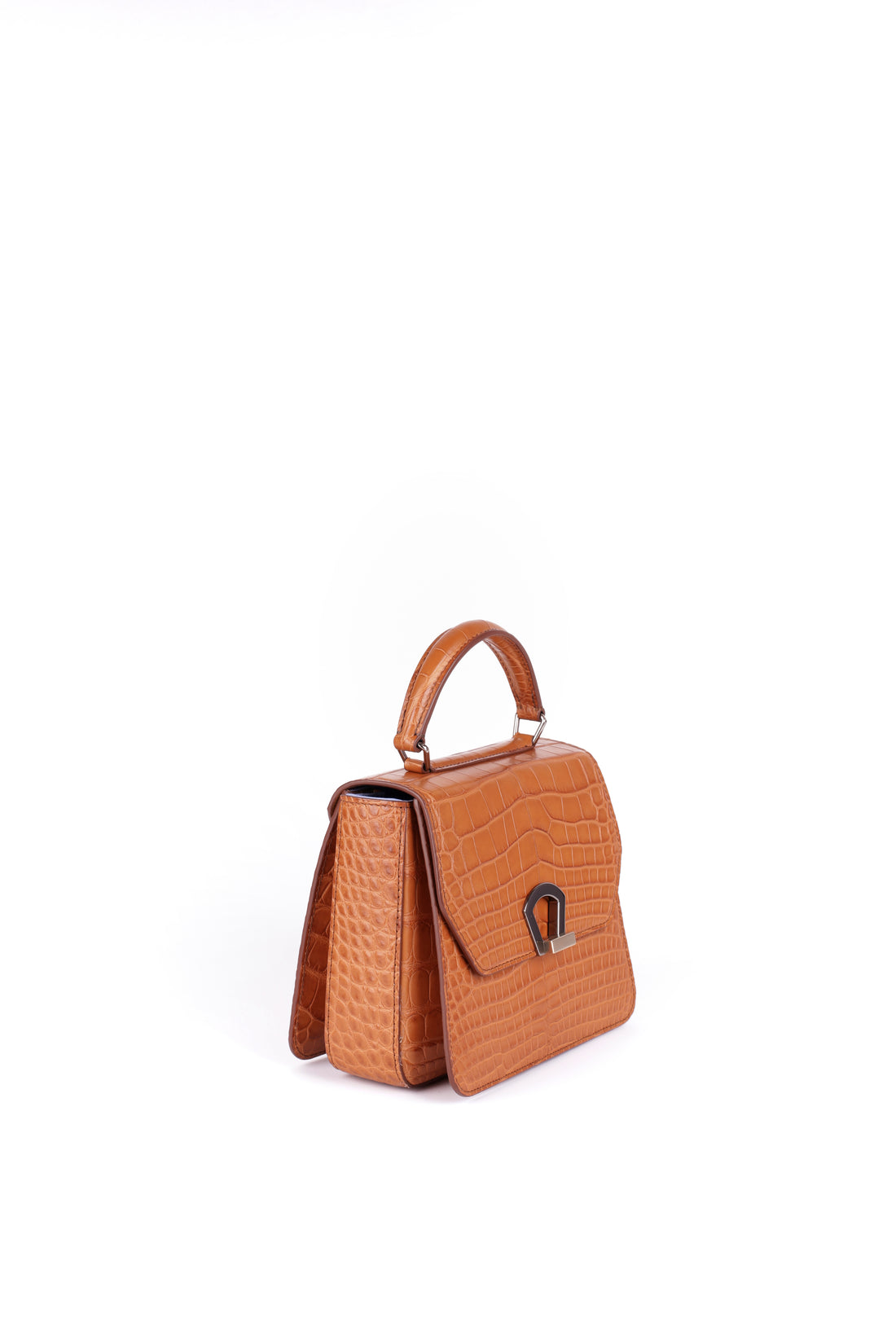 IRIS 18 - CROCODILE CAMEL