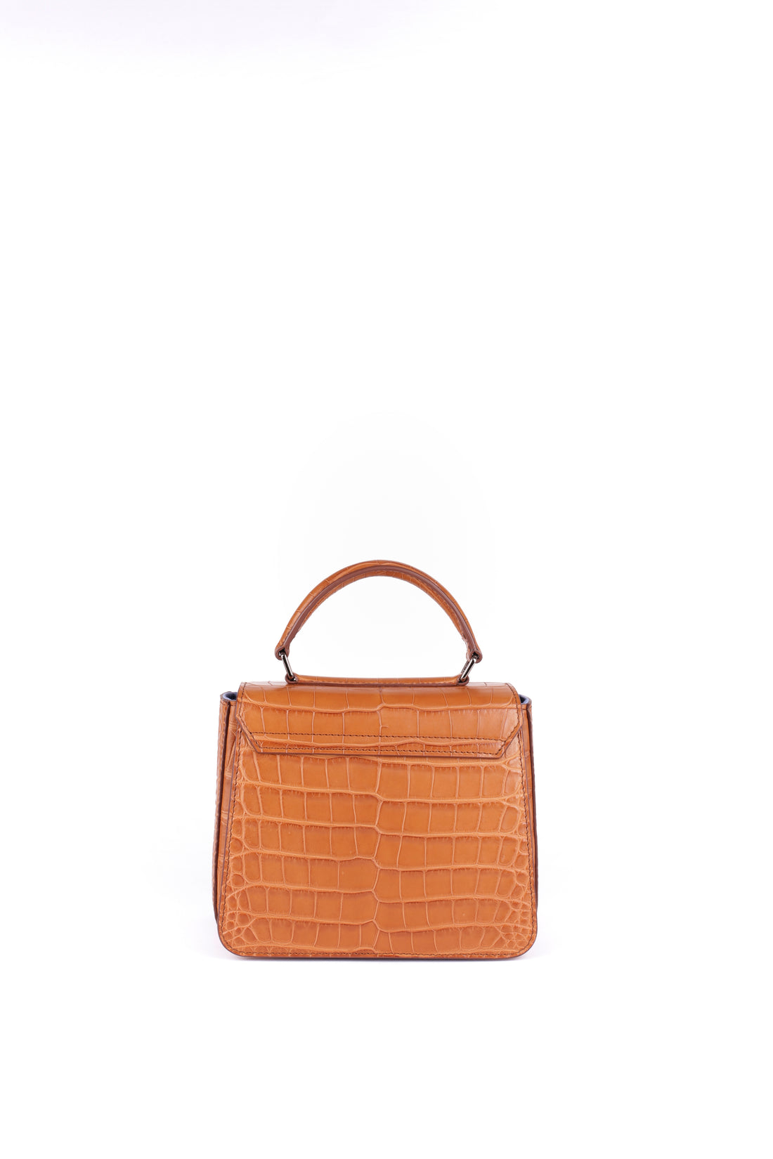 IRIS 18 - CROCODILE CAMEL