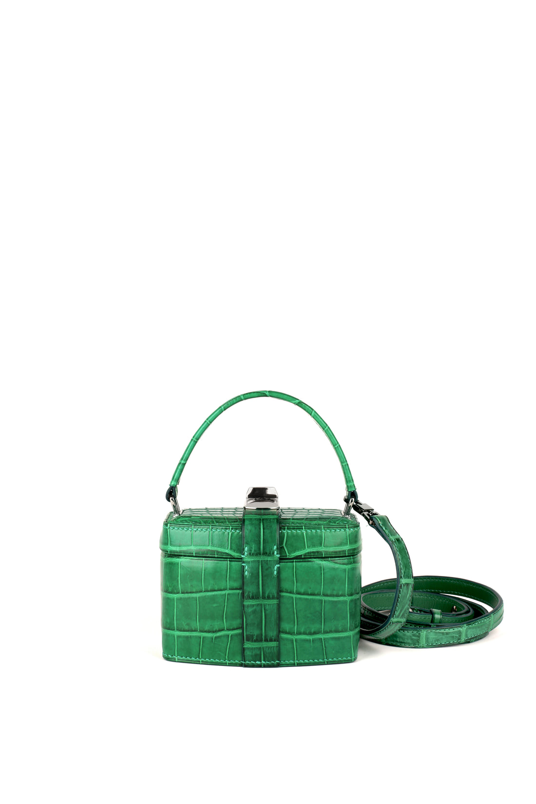 IVY 14 MINI - CROCODILE CACTUS