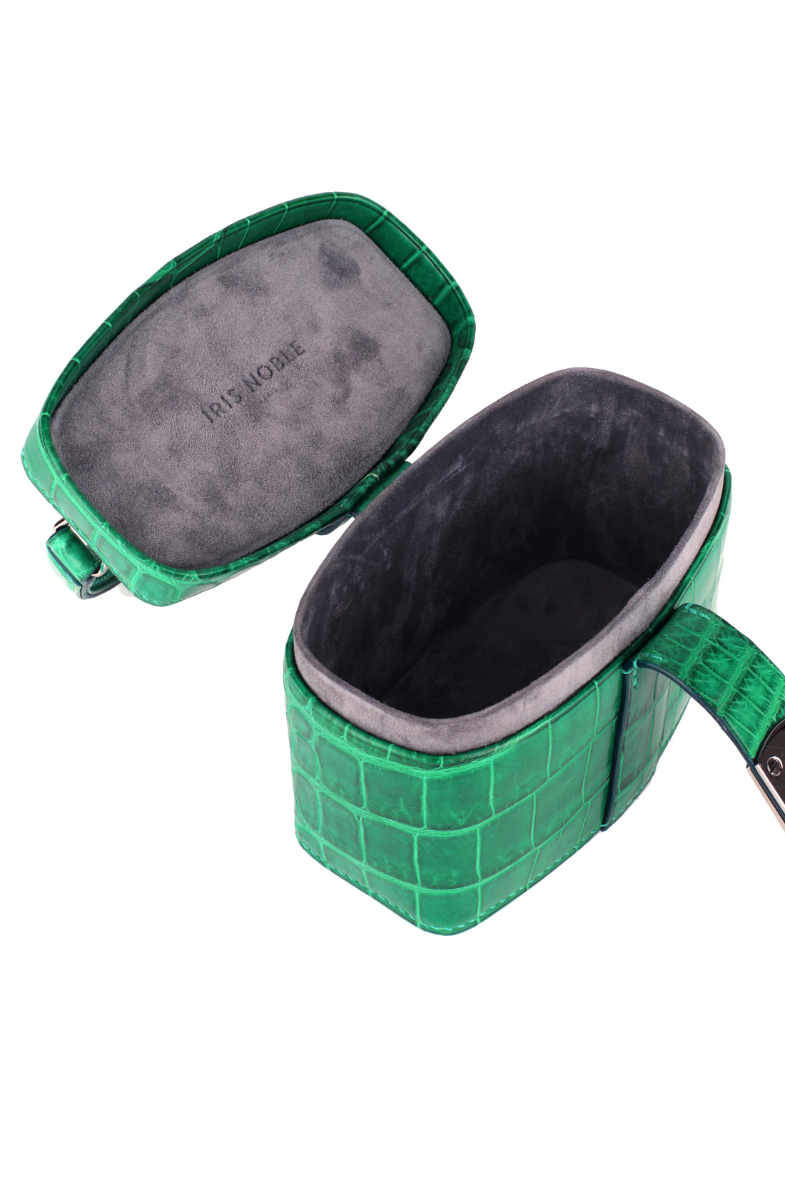 IVY 14 MINI - CROCODILE CACTUS