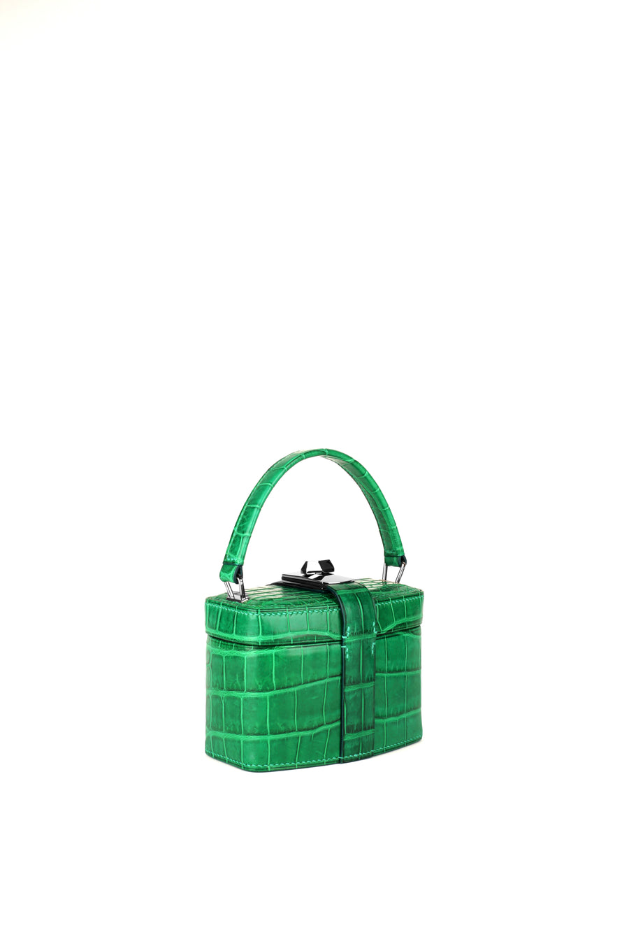 IVY 14 MINI - CROCODILE CACTUS