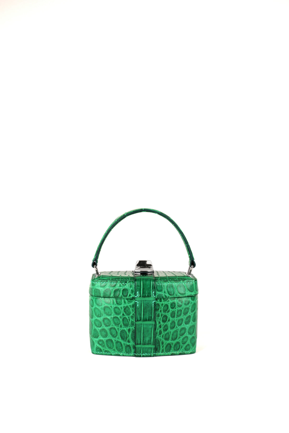 IVY 14 MINI - CROCODILE CACTUS